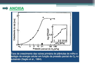 ANOXIA
 