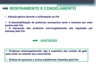 RESFRIAMENTO E CONGELAMENTO
• Indução gênica durante a aclimatação ao frio
 A desestabilização de proteínas acompanha tanto o estresse por calor
quanto pelo frio
 A expressão das proteínas anti-congelamento são reguladas por
estresse pelo frio
 Proteínas anticongelamento: liga à superfície dos cristais de gelo
para evitar ou retardar seu crescimento
 Síntese de açúcares e outras substâncias induzidas pelo frio
ADAPTAÇÕES
 