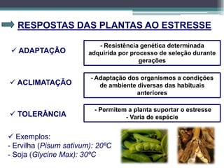 RESPOSTAS DAS PLANTAS AO ESTRESSE
 ADAPTAÇÃO
- Resistência genética determinada
adquirida por processo de seleção durante
gerações
 ACLIMATAÇÃO
 TOLERÂNCIA
- Adaptação dos organismos a condições
de ambiente diversas das habituais
anteriores
- Permitem a planta suportar o estresse
- Varia de espécie
 Exemplos:
- Ervilha (Pisum sativum): 20ºC
- Soja (Glycine Max): 30ºC
 