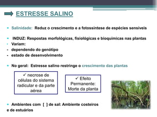  Salinidade: Reduz o crescimento e a fotossíntese de espécies sensíveis
 INDUZ: Respostas morfológicas, fisiológicas e bioquímicas nas plantas
• Variam:
- dependendo do genótipo
- estado de desenvolvimento
ESTRESSE SALINO
 No geral: Estresse salino restringe o crescimento das plantas
 necrose de
células do sistema
radicular e da parte
aérea
 Efeito
Permanente:
Morte da planta
 Ambientes com [ ] de sal: Ambiente costeiros
e de estuários
 