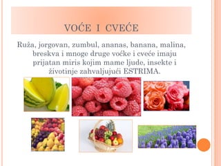 VOĆE I CVEĆE
Ruža, jorgovan, zumbul, ananas, banana, malina,
breskva i mnoge druge voćke i cveće imaju
prijatan miris kojim mame ljude, insekte i
životinje zahvaljujući ESTRIMA.
 