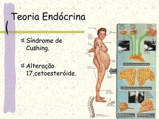 Teoria Endócrina
Síndrome de
Cushing.
Alteração
17,cetoesteróide.
 