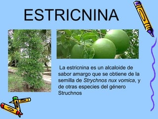 ESTRICNINA


   La estricnina es un alcaloide de
   sabor amargo que se obtiene de la
   semilla de Strychnos nux vomica, y
   de otras especies del género
   Struchnos
 