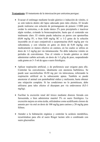 5
Tratamiento: El tratamiento de la intoxicación por estricnina persigue:
Evacuar el estómago mediante lavado gástrico o inducción de vómito, si
se está todavía dentro del lapso adecuado para tales efectos. El lavado
puede realizarse con solución de permanganato de potasio 1/1000 para
oxidar la estricnina, o de ácido tánico 2% para precipitarla e inactivar
algún residuo, evitando la broncoaspiración, hasta que el contenido sea
totalmente claro. El vómito puede inducirse en perros con apomorfina
(0,04 mg/kg IV, o bien 0,08 mg/kg SC o 1-2 gotas de la solución
inyectable en el saco conjuntival) o acepromazina (0,01 mg/kg por vía
subcutánea), y con xilazina en gatos en dosis de 0,44 mg/kg; este
medicamente es menos efectivo en caninos, en los cuales se utiliza en
dosis de 1-2 mg/kg por vía intramuscular. No debe inducirse vómito en
períodos de convulsiones. Tras el vómito o lavado gástrico es ideal
administrar carbón activado, en dosis de 1-2 g/kg de peso, suspendiendo
cada gramo en 3- 5 ml de agua o suero fisiológico.
Aplicar respiración artificial, y de preferencia usar oxigeno para ello.
Controlar las convulsiones, idealmente con anestesia barbitúrica. Se
puede usar succinilcolina 10-50 mg por vía intravenosa, reforzando la
respiración artificial en la subsecuente apnea. También se puede
anestesiar el animal con pentobarbital sódico y mefesenin, hasta obtener
una relajación completa. Si las condiciones no lo permitiesen, debe
utilizarse para tales efectos el diazepam por vía endovenosa (0,5-1
mg/kg).
Facilitar la excreción renal del tóxico mediante diuresis forzada con
furosemida, o bien administrar manitol 5% en suero fisiológico. La
excreción mejora en orina ácida, utilizándose como acidificante cloruro de
amonio por vía oral en dosis de 100 mg/kg para caninos y 20 mg/kg para
felinos.
Atender a la hidratación orgánica y controlar la acidosis metabólica,
recurriéndose para ello al suero Ringer lactato sólo o combinado con
suero glucosalino.
 