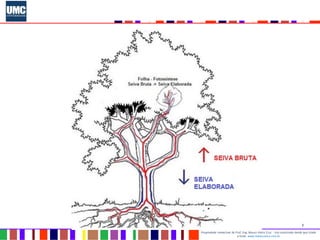 3
Propriedade intelectual do Prof. Eng. Mauro Vieira Cruz - Uso autorizado desde que citada
a fonte www.metacustica.com.br
 