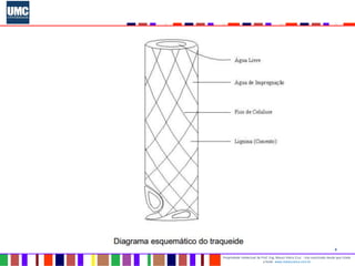 8
Propriedade intelectual do Prof. Eng. Mauro Vieira Cruz - Uso autorizado desde que citada
a fonte www.metacustica.com.br
 