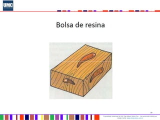 19
Propriedade intelectual do Prof. Eng. Mauro Vieira Cruz - Uso autorizado desde que
citada a fonte www.metacustica.com.br
 
