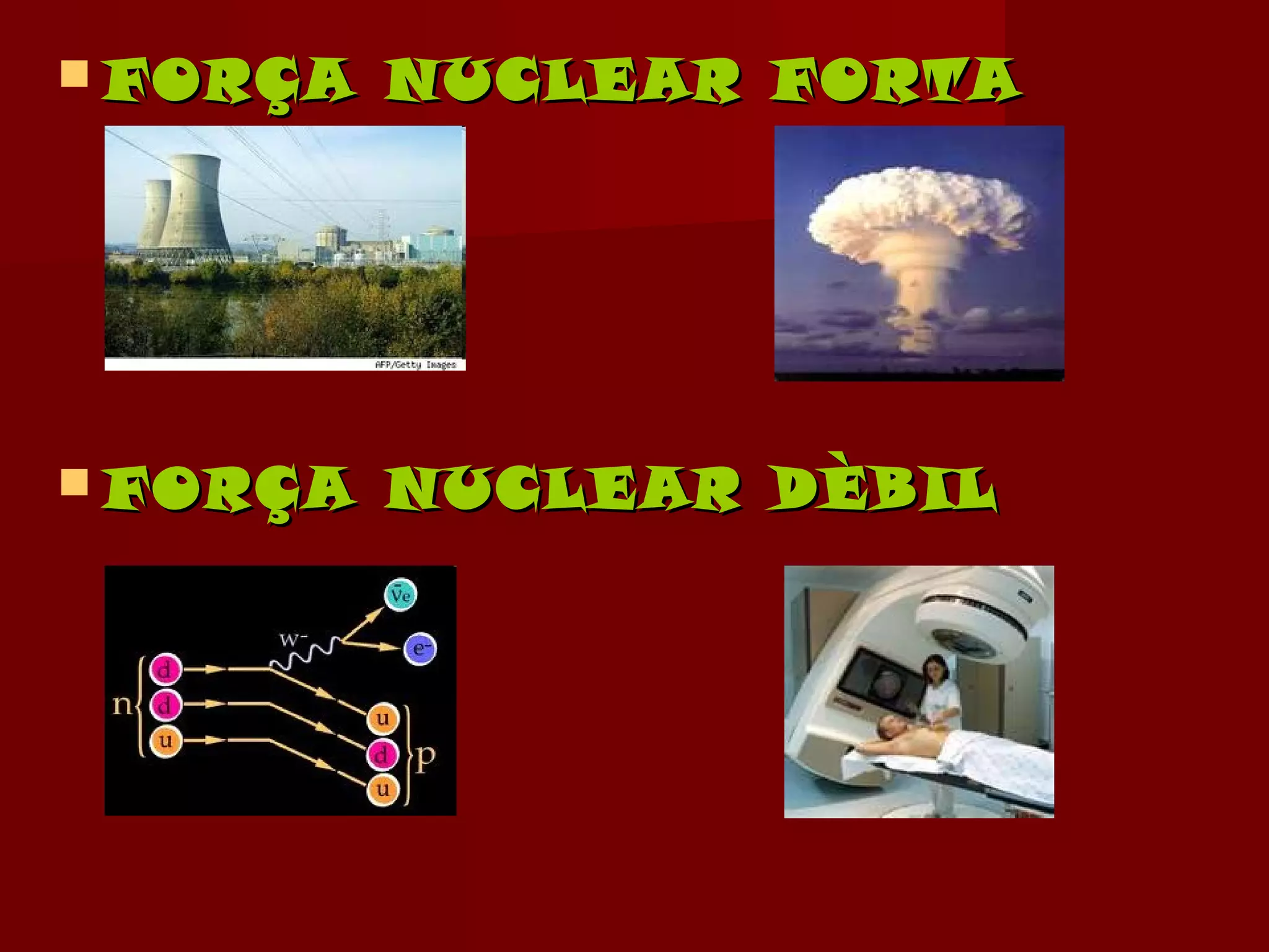  FORÇA   NUCLEAR FORTA




 FORÇA   NUCLEAR DÈBIL
 