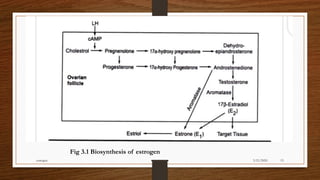 Estrogen and its synthesis