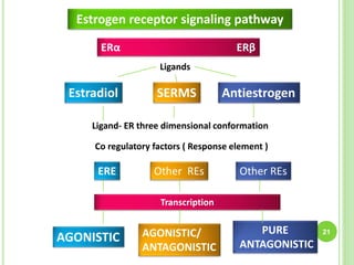 Estrogen receptor and its modulators | PPTX