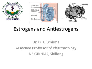Estrogens and Antiestrogens
Dr. D. K. Brahma
Associate Professor of Pharmacology
NEIGRIHMS, Shillong
 