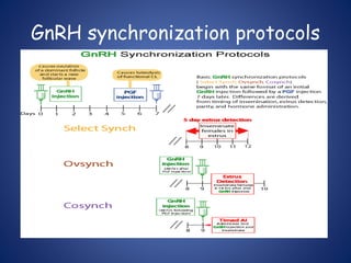 GnRH synchronization protocols
 