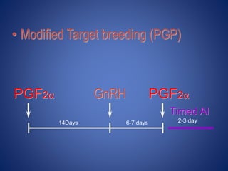 • Modified Target breeding (PGP)
PGF2
14Days
GnRH
6-7 days
PGF2
2-3 day
Timed AI
 
