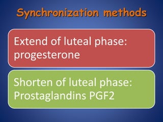 Extend of luteal phase:
progesterone
Shorten of luteal phase:
Prostaglandins PGF2
Synchronization methods
 