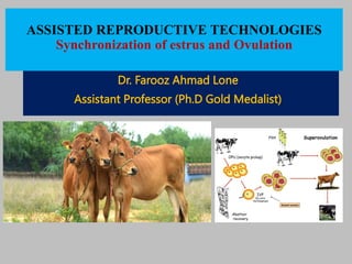 ASSISTED REPRODUCTIVE TECHNOLOGIES
Synchronization of estrus and Ovulation
Dr. Farooz Ahmad Lone
Assistant Professor (Ph.D Gold Medalist)
 
