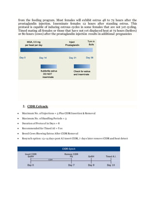 from the feeding program. Most females will exhibit estrus 48 to 72 hours after the
prostaglandin injection. Inseminate females 12 hours after standing estrus. This
protocol is capable of inducing estrous cycles in some females that are not yet cycling.
Timed mating all females or those that have not yet displayed heat at 72 hours (heifers)
or 80 hours (cows) after the prostaglandin injection results in additional pregnancies
2. CIDR CoSynch:
 Maximum No. of Injections = 3 Plus CIDR Insertion & Removal
 Maximum No. of Handling Periods = 3
 Duration of Protocol in Days = 8
 Recommended for Timed AI = Y es
 Breed Cows Showing Estrus After CIDR Removal
 Resynch option: 13-14 days post AI insert CIDR, 7 days later remove CIDR and heat detect
 