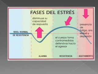 disminuye su
capacidad
de respuesta                      presencia
                                  de
                                  fatiga, ans
                                  iedad y
                                  depresión
               el cuerpo toma
               contramedidas
               defensivas hacia
               el agresor
 