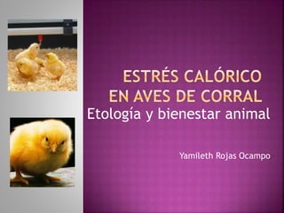 Etología y bienestar animal
Yamileth Rojas Ocampo
 