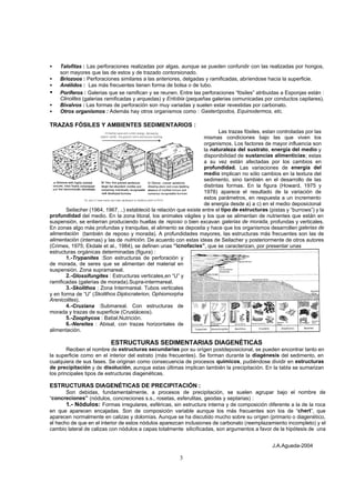 J.A.Agueda-2004
3
• Talofitas : Las perforaciones realizadas por algas, aunque se pueden confundir con las realizadas por hongos,
son mayores que las de estos y de trazado contorsionado.
• Briozoos : Perforaciones similares a las anteriores, delgadas y ramificadas, abríendose hacia la superficie.
• Anélidos : Las más frecuentes tienen forma de bolsa o de tubo.
• Poríferos : Galerias que se ramifican y se reunen. Entre las perforaciones “fósiles” atribuidas a Esponjas están :
Clinolites (galerias ramificadas y arquedas) y Entobia (pequeñas galerias comunicadas por conductos capilares).
• Bivalvos : Las formas de perforación son muy variadas y suelen estar revestidas por carbonato.
• Otros organismos : Además hay otros organismos como : Gasterópodos, Equinodermos, etc.
TRAZAS FÓSILES Y AMBIENTES SEDIMENTARIOS :
Las trazas fósiles, estan controladas por las
mismas condiciones bajo las que viven los
organismos. Los factores de mayor influencia son
la naturaleza del sustrato, energía del medio y
disponibilidad de sustancias alimenticias; estas
a su vez están afectadas por los cambios en
profundidad. Las variaciones de energía del
medio implican no sólo cambios en la textura del
sedimento, sino también en el desarrollo de las
distintas formas. En la figura (Howard, 1975 y
1978) aparece el resultado de la variación de
estos parámetros, en respuesta a un incremento
de energía desde a) a c) en el medio deposicional
Seilacher (1964, 1967, ..) estableció la relación que existe entre el tipo de estructuras (pistas y “burrows”) y la
profundidad del medio. En la zona litoral, los animales vágiles y los que se alimentan de nutrientes que están en
suspensión, se entierran produciendo huellas de reposo o bien excavan galerias de morada, profundas y verticales.
En zonas algo más profundas y tranquilas, el alimento se deposita y hace que los organismos desarrollen galerias de
alimentación (también de reposo y morada). A profundidades mayores, las estructuras más frecuentes son las de
alimentación (internas) y las de nutrición. De acuerdo con estas ideas de Seilacher y posteriormente de otros autores
(Crimes, 1975; Ekdale et al., 1984), se definen unas “icnofacies”, que se caracterizan, por presentar unas
estructuras orgánicas determinadas (figura) :
1.-Trypanites :Son estructuras de perforación y
de morada, de seres que se alimentan del material en
suspensión. Zona supramareal.
2.-Glossifungites : Estructuras verticales,en “U” y
ramificadas (galerias de morada).Supra-intermareal.
3.-Skolithos : Zona Intermareal. Tubos verticales
y en forma de “U” (Skolithos Diplocraterion, Ophiomorpha
Arenicolites).
4.-Cruziana :Submareal. Con estructuras de
morada y trazas de superficie (Crustáceos).
5.-Zoophycos : Batial.Nutrición.
6.-Nereites : Abisal, con trazas horizontales de
alimentación.
ESTRUCTURAS SEDIMENTARIAS DIAGENÉTICAS
Reciben el nombre de estructuras secundarias por su orígen postdeposicional, se pueden encontrar tanto en
la superficie como en el interior del estrato (más frecuentes). Se forman durante la diagénesis del sedimento, en
cualquiera de sus fases. Se originan como consecuencia de procesos químicos, pudiéndose dividir en estructuras
de precipitación y de disolución, aunque estas últimas implican también la precipitación. En la tabla se sumarizan
los principales tipos de estructuras diagenéticas.
ESTRUCTURAS DIAGENÉTICAS DE PRECIPITACIÓN :
Son debidas, fundamentalmente, a procesos de precipitación, se suelen agrupar bajo el nombre de
“concreciones” (nódulos, concreciones s.s., rosetas, esferulitas, geodas y septarias) :
1.- Nódulos: Formas irregulares, esféricas, sin estructura interna y de composición diferente a la de la roca
en que aparecen encajadas. Son de composición variable aunque los más frecuentes son los de “chert”, que
aparecen normalmente en calizas y dolomias. Aunque se ha discutido mucho sobre su orígen (primario o diagenético,
el hecho de que en el interior de estos nódulos aparezcan inclusiones de carbonato (reemplazamiento incompleto) y el
cambio lateral de calizas con nódulos a capas totalmente silicificadas, son argumentos a favor de la hipótesis de una
 