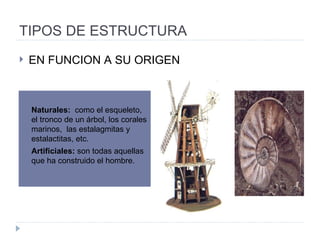 TIPOS DE ESTRUCTURA Naturales:   como el esqueleto, el tronco de un árbol, los corales marinos,  las estalagmitas y estalactitas, etc. Artificiales:  son todas aquellas que ha construido el hombre.  EN FUNCION A SU ORIGEN 