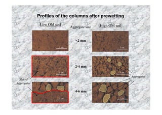 Profiles of the columns after prewetting
              Low OM soil                       High OM soil
                               Aggregate size


                                  <2 mm
                        1 cm                               1 cm




                                  2-4 mm
                        1 cm                               1 cm
                                                                  Aggregates
  Slaked
Aggregates

                                  4-6 mm
                        1 cm                               1 cm
 