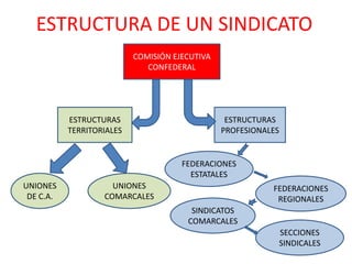 ESTRUCTURA DE UN SINDICATO COMISIÓN EJECUTIVA CONFEDERAL ESTRUCTURASTERRITORIALES ESTRUCTURASPROFESIONALES FEDERACIONESESTATALES UNIONESDE C.A. UNIONES COMARCALES FEDERACIONES REGIONALES SINDICATOS COMARCALES SECCIONES SINDICALES 