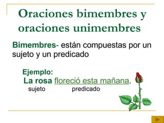 Oraciones bimembres y oraciones unimembres Bimembres -  están compuestas por un sujeto y un predicado Ejemplo: La rosa   floreció esta mañana . sujeto  predicado 