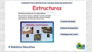 “CONCEPTOS CIENTÍFICOS TECNOLÓGICOS BÁSICOS”
1 Colmena de abejas
2 Nido de la Oropéndola
3 Madriguera del castor
1
2
3
 