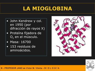 LA MIOGLOBINA

     • John Kendrew y col.
       en 1950 (por
       difracción de rayos X)
     • Proteína fijadora de
       O2 en el músculo.
     • Masa: 16700
     • 153 residuos de
       aminoácidos.




© - PROFESOR JANO es Víctor M. Vitoria – B I O L O G Í A
 