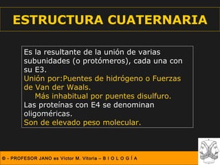 ESTRUCTURA CUATERNARIA

        Es la resultante de la unión de varias
        subunidades (o protómeros), cada una con
        su E3.
        Unión por:Puentes de hidrógeno o Fuerzas
        de Van der Waals.
            Más inhabitual por puentes disulfuro.
        Las proteínas con E4 se denominan
        oligoméricas.
        oligoméricas
        Son de elevado peso molecular.



© - PROFESOR JANO es Víctor M. Vitoria – B I O L O G Í A
 