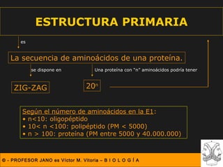 ESTRUCTURA PRIMARIA
       es


   La secuencia de aminoácidos de una proteína.
            se dispone en            Una proteína con “n” aminoácidos podría tener



    ZIG-ZAG                       20n


        Según el número de aminoácidos en la E1:
        • n<10: oligopéptido
        • 10< n <100: polipéptido (PM < 5000)
        • n > 100: proteína (PM entre 5000 y 40.000.000)



© - PROFESOR JANO es Víctor M. Vitoria – B I O L O G Í A
 