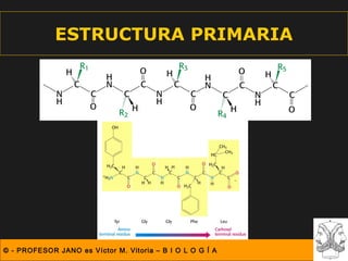 ESTRUCTURA PRIMARIA




© - PROFESOR JANO es Víctor M. Vitoria – B I O L O G Í A
 