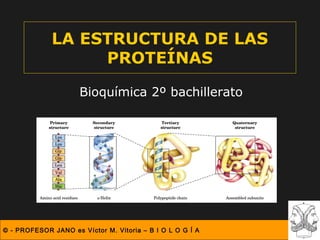 LA ESTRUCTURA DE LAS
                  PROTEÍNAS

                     Bioquímica 2º bachillerato




© - PROFESOR JANO es Víctor M. Vitoria – B I O L O G Í A
 