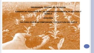 UNIVERSIDAD CENTRAL DEL ECUADOR
CARRERA DE PEDAGOGÍA DE LAS CIENCIAS EXPERIMENTALES BIOLOGÍA Y
QUÍMICA
ECOLOGÍA
FACTORES EDÁFICOS COMPOSICIÓN Y ESTRUCTURA DEL SUELO
 