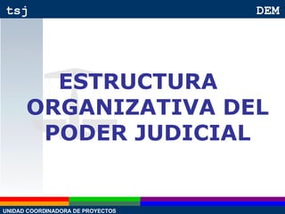 ESTRUCTURA ORGANIZATIVA DEL PODER JUDICIAL 