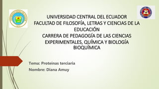 UNIVERSIDAD CENTRAL DEL ECUADOR
FACULTAD DE FILOSOFÍA, LETRAS Y CIENCIAS DE LA
EDUCACIÓN
CARRERA DE PEDAGOGÍA DE LAS CIENCIAS
EXPERIMENTALES, QUÍMICA Y BIOLOGÍA
BIOQUÍMICA
Tema: Proteínas terciaria
Nombre: Diana Amuy
 