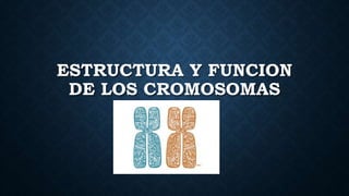 ESTRUCTURA Y FUNCION
DE LOS CROMOSOMAS
 