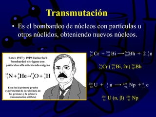 Transmutación
• Es el bombardeo de núcleos con partículas u
otros núclidos, obteniendo nuevos núcleos.
Esta fue la primera prueba
experimental de la existencia de
los protones y la primera
transmutación artificial
Entre 1917 y 1919 Rutherford
bombardeó nitrógeno con
partículas alfa obteniendo oxígeno
Cr + Bi Bh + 2 n54 209 261 1
24 83 107 0
Cr ( Bi, 2n) Bh54 209 261
24 83 107
U + n Np + e238 1 239 0
92 0 92 -1
U (n, ) Np238 239
92 93
 