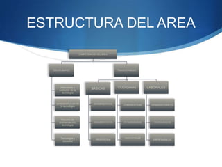 ESTRUCTURA DEL AREA
 