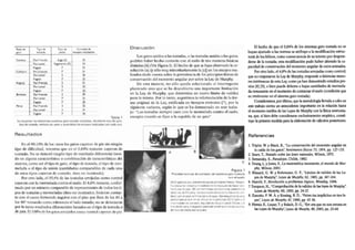 Estructura artículo científico