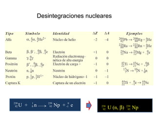 Desintegraciones nucleares
U + n Np + e
238 1 239 0
92 0 93 -1
U (n, β) Np238 239
92 93
 