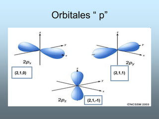 Orbitales “ p”




(2,1,0)                      (2,1,1)




                  (2,1,-1)
 