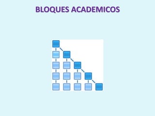 BLOQUES ACADEMICOS
 