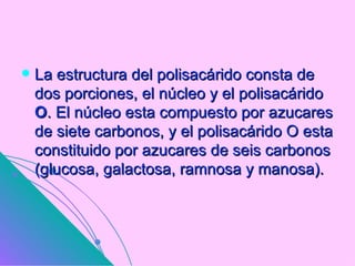    La estructura del polisacárido consta de
    dos porciones, el núcleo y el polisacárido
    O. El núcleo esta compuesto por azucares
    de siete carbonos, y el polisacárido O esta
    constituido por azucares de seis carbonos
    (glucosa, galactosa, ramnosa y manosa).
 