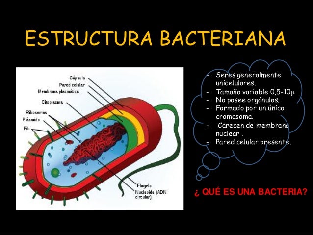 Genoma - bibliotecapleyades.net