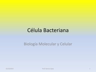 Célula Bacteriana
Biología Molecular y Celular
22/10/2015 1Prof. Karina López
 