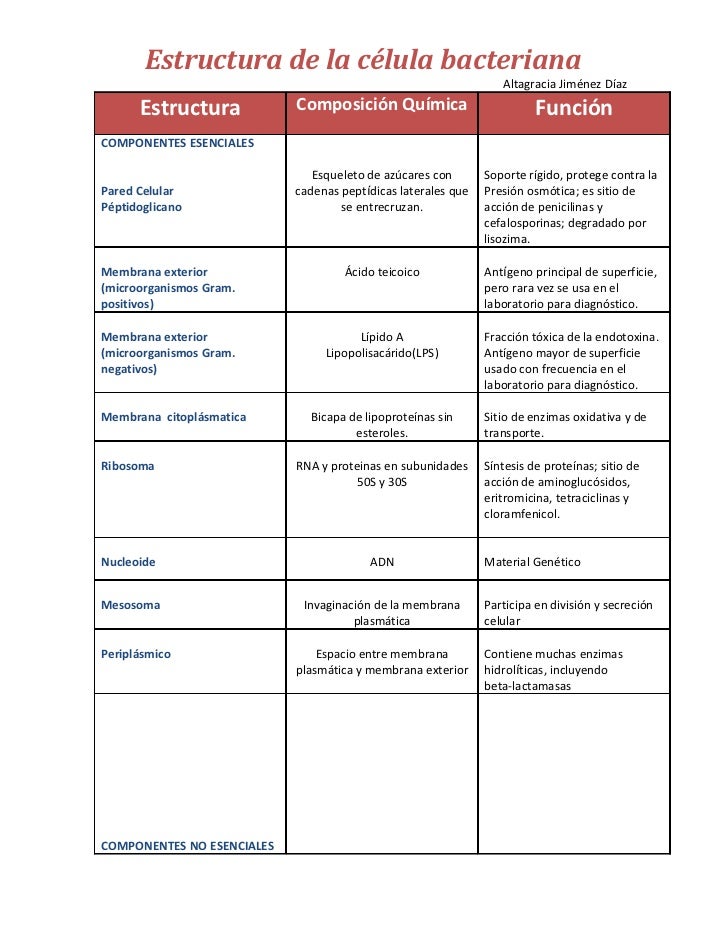 Estructura bacteriana curso virtual