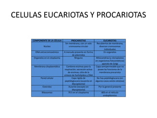 CELULAS EUCARIOTAS Y PROCARIOTAS