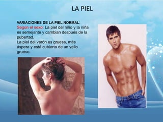 LA PIEL
VARIACIONES DE LA PIEL NORMAL:

Según el sexo: La piel del niño y la niña
es semejante y cambian después de la
pubertad.
La piel del varón es gruesa, más
áspera y está cubierta de un vello
grueso.

 