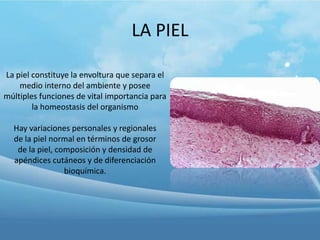 LA PIEL
La piel constituye la envoltura que separa el
medio interno del ambiente y posee
múltiples funciones de vital importancia para
la homeostasis del organismo
Hay variaciones personales y regionales
de la piel normal en términos de grosor
de la piel, composición y densidad de
apéndices cutáneos y de diferenciación
bioquímica.

 